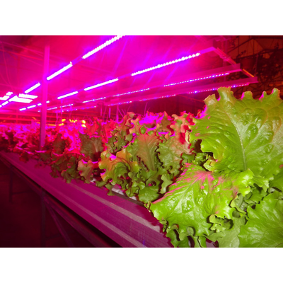 Фитосветильник 18Вт светодиодный светильник для растений купить в Казани.