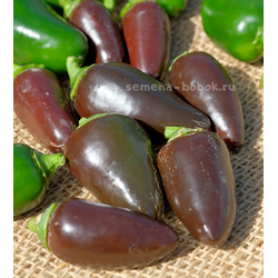 Перец острый Jalapeno Azabeche, 10 шт.