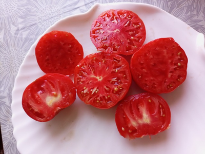 Томат Эль-Амар (El-Amar)