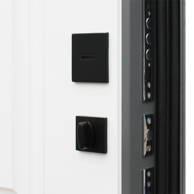 Стальная дверь   Лира