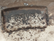 № 1682/1. Диски R15 5х114.3 Nissan