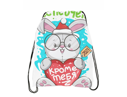 Сумка-мешок для обуви год Кролика №28