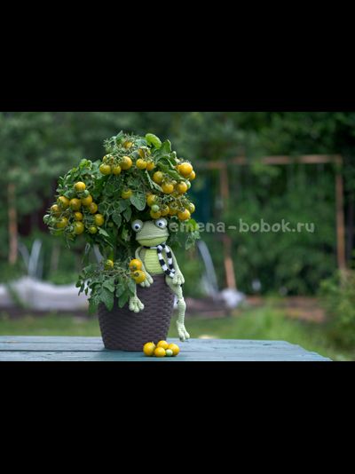 Micro Dwarf Fat Frog (Микрогном Жирная Лягушка), 10 шт