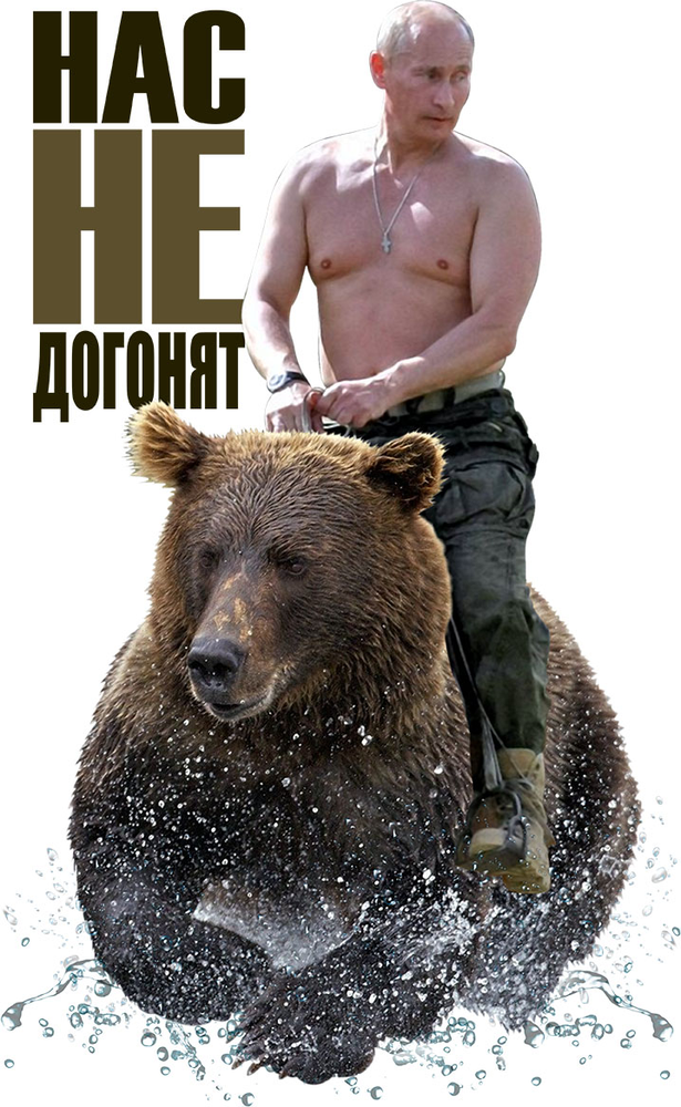 Путин На Медведе Обои