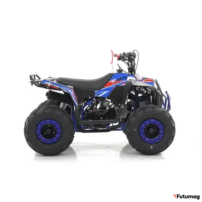 Квадроцикл MOTAX GRIZLIK A110 Черно-синий