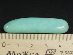 Хризопраз, галтовка, Австралия (47*12*7 мм, 8 г) №28491