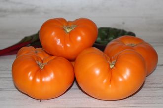 Желтые антузы. Румыния