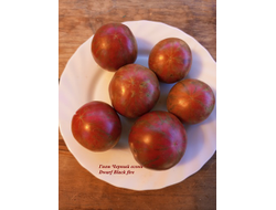 Гном Черный огонь, Черноогненный  (Dwarf Black fire)