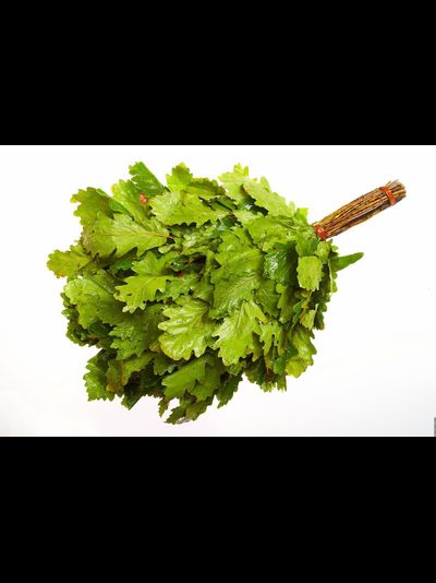 Дубовый веник