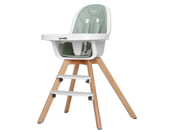 Стульчик для кормления Carrello Prego Ash Green