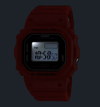 Часы Casio G-Shock DWN-5600-4