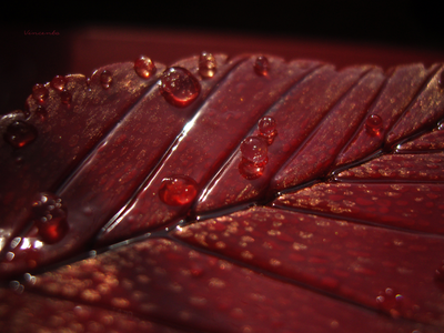 Фэнтези брошь "Гиперион. Объятый Жаром Лист"