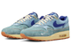 мужские кроссовки Nike Air Max 1 Premium 'Dirty Denim' DV3050-300