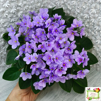 ГЕА-Весёлый Клоун (Е. Галицкая) 2024 г. трейлер