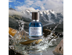 Мужские духи DILIS Cold Galaxy Niche Collection