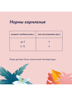 Florida (Флорида) влажный корм (пауч) для котят, кусочки с говядиной и морковью в желе 85 г