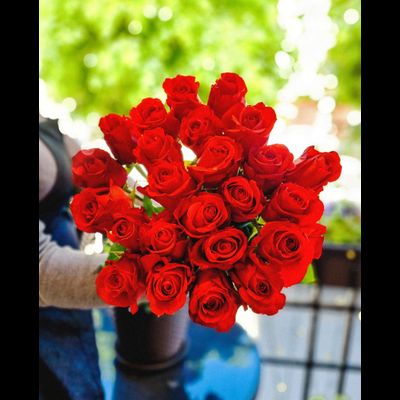 Роза Эквадор 70 см 25 шт