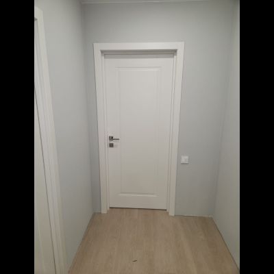 Ленес (арктика)