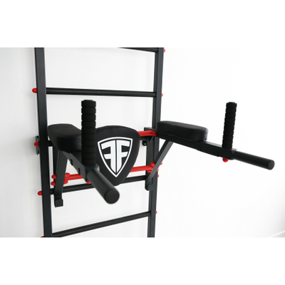 Шведская стенка Ferrum Force FR2 купить в Воронеже