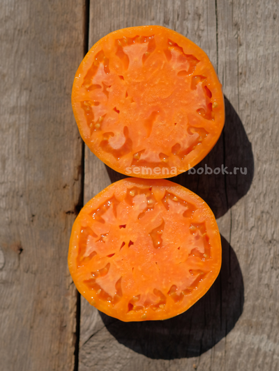 Томат Regalo Dall Italian (Подарок из Италии), 10 шт