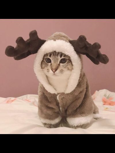 Плюшевый костюм Оленя для собак и кошек