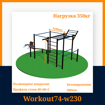 Спортивная площадка Workout W230