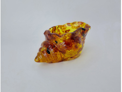 Ракушка с емкостью