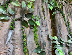 Tree trunks