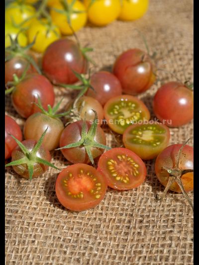 Томат черри Икра Черная, 10 шт