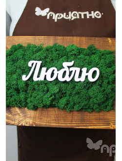 ЖИВАЯ ЭКО-КАРТИНА 1047