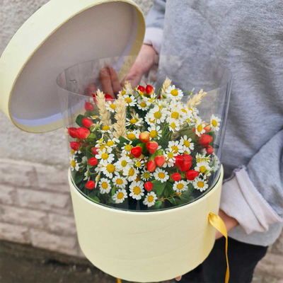 Ромашки с бабочками №92