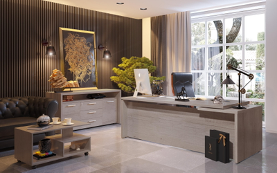 Кабинет руководителя TORR-Z