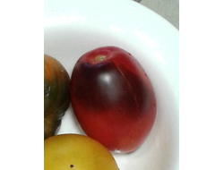 Семена томата Паскаль из Пикардии