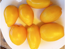 Томат гном Банановые пальчики (Banana Toes Tomato)