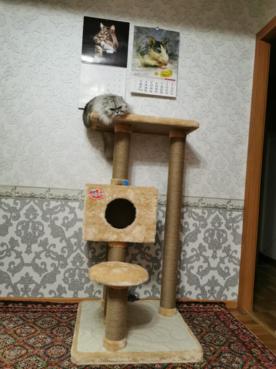 №161 Игровой комплекс "Мурзик"