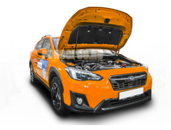 Амортизаторы капота, 2 шт. АвтоУпор для Subaru XV II 2017-