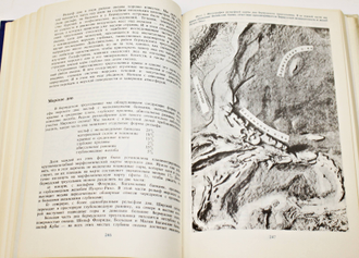 Кукал З. Великие загадки Земли. М.: Прогресс. 1988г.