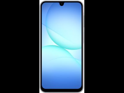 Samsung Galaxy A17 6/128GB RU A175 Серый
