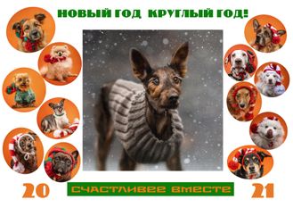 Календарь на 2021 год