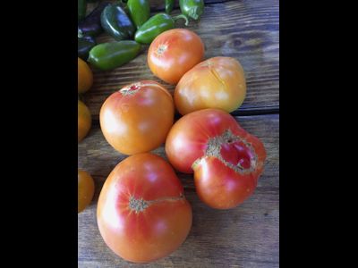 Томат Гном Удивительный (Dwarf Awesome, США, Австралия)