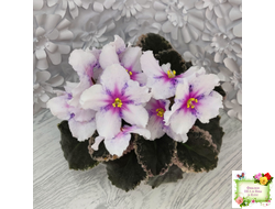 Dn-Love Time (Д. Денисенко) 2021 г.