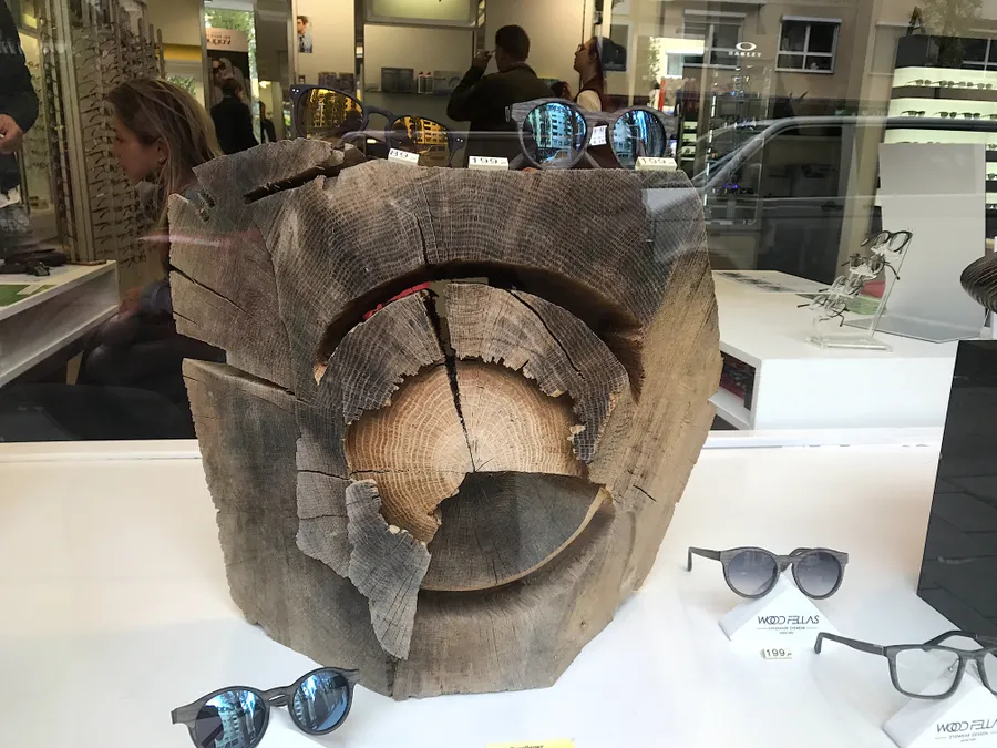 Декор витрины оптики, пень дуба, Мюнхен, Германия.