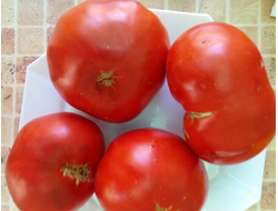 Томат Красный гигант банат (Red giant banat)