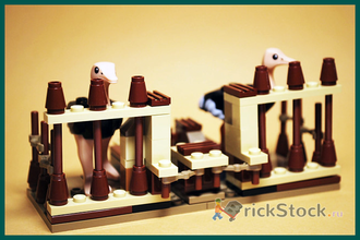 # 7570 Страусиные Бега / The Ostrich Race (2010)