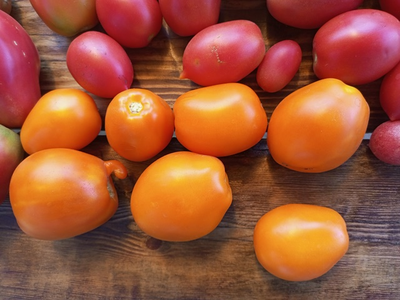 Томат Золото Колчака