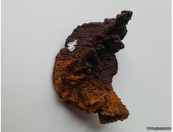 Лимонит по Марказиту