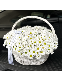 КОРЗИНА ИЗ КУСТОВОЙ ХРИЗАНТЕМЫ