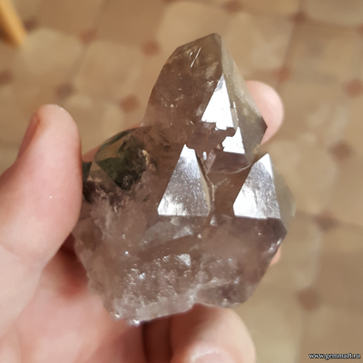 Кристалл сфена (титанита)  на хлорит-серицитовом сланце на друзе дымчатого кварца (раухтопаза) 74*55*42мм