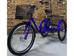 Электровелосипед трехколесный Etoro Turino 350