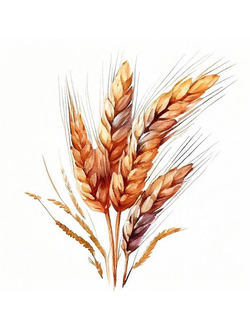 ПОЛЕЗНОЕ ПИТАНИЕ И СЛАДОСТИ